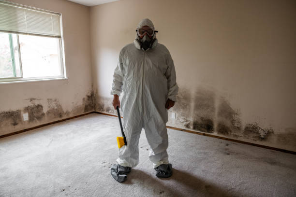 Best Mold Testing and Inspection Services in Como, MS