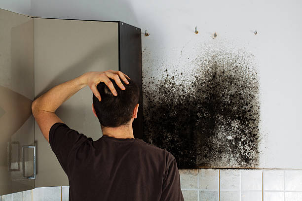 Como, MS Mold Remediation Company
